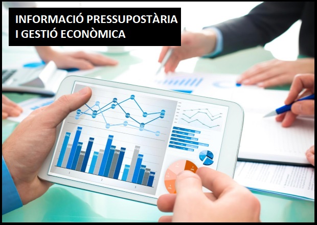 Informació Pressupostaria F