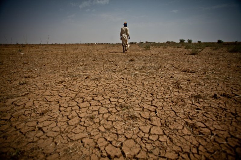 butlleti-23-caminar-accio-climatica